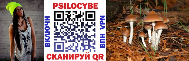 Псилоцибиновые грибы Psilocybe  гидра маркетплейс  Дмитриев  где купить наркотик 